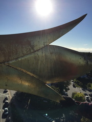 IMG 0432 1 